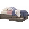 Bowery Hill Modern Engineered Wood Twin Mates Bed in Pebble Pine