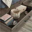 Bowery Hill Modern Engineered Wood Twin Mates Bed in Pebble Pine
