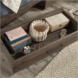 Bowery Hill Modern Engineered Wood Twin Mates Bed in Pebble Pine