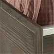 Bowery Hill Modern Engineered Wood Twin Mates Bed in Pebble Pine