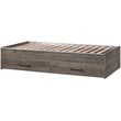 Bowery Hill Modern Engineered Wood Twin Mates Bed in Pebble Pine