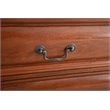 Bowery Hill Engineered Wood Transitional 10 Drawer Dresser in Oak