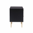 Bowery Hill Modern / Contemporary Two Drawer Wood Nightstand in Black