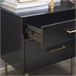 Bowery Hill Modern / Contemporary Two Drawer Wood Nightstand in Black