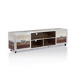 Bowery Hill Modern Metal TV Stand with Casters in Multi-color