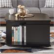 Bowery Hill Modern Wood Storage Coffee Table in Cappuccino Finish