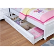 Bowery Hill Traditional Solid Wood/Wood Veneer/MDF Trundle Unit in White