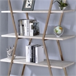 Bowery Hill Modern Metal 4-Shelf Bookcase in Gold Champagne Finish