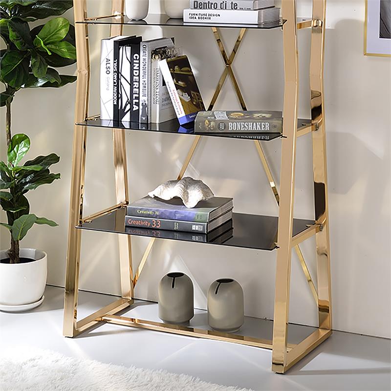 Bowery Hill Contemporary Glass Shelves Bookcase in Gold Finish