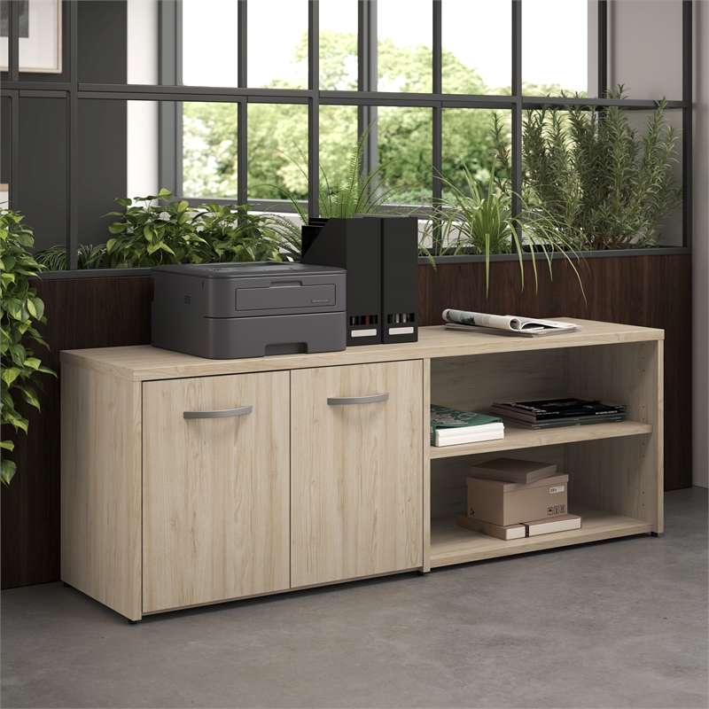 Bowery Hill Modern Low Storage Cabinet with Doors and Shelves