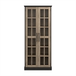 Bowery Hill Modern / Contemporary Curio Cabinet with Glass Doors