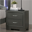 Bowery Hill Wood Acrylic Hardware 2-Drawer Nightstand in Gray