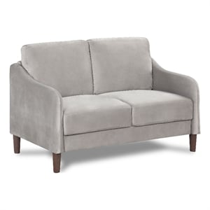 Bowery Hill Contemporary Velvet Fabric Loveseat Sofa in Gray