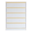 Bowery Hill Contemporary Modern Wood 5-Drawer Chest in White