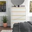 Bowery Hill Contemporary Modern Wood 5-Drawer Chest in White