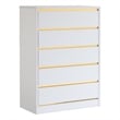 Bowery Hill Contemporary Modern Wood 5-Drawer Chest in White