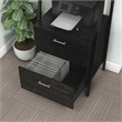 Bowery Hill Wood 1-Drawer File Cabinet in Reclaimed Black Oak