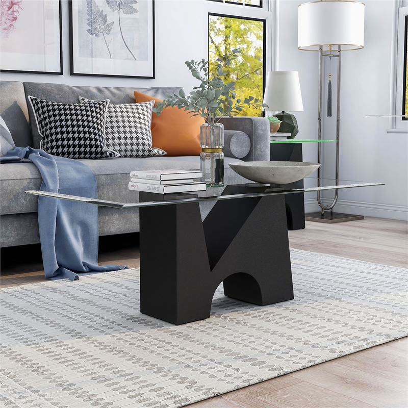 Bowery Hill Metal and Glass Top Rectangle Coffee Table in Black