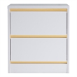 Bowery Hill Contemporary Wood 2-Drawer Nightstand in White Finish