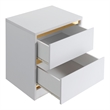 Bowery Hill Contemporary Wood 2-Drawer Nightstand in White Finish