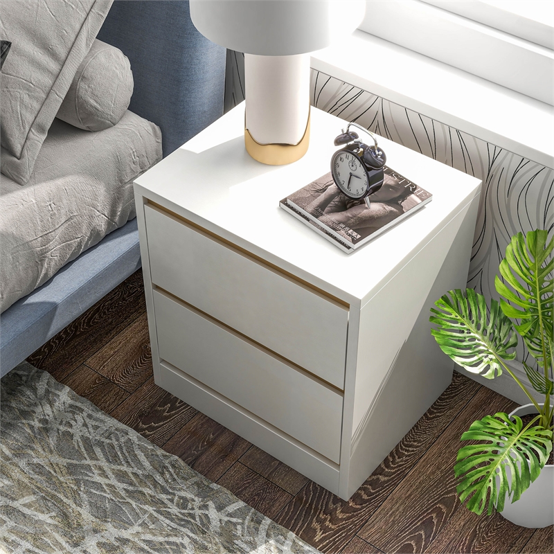 Bowery Hill Contemporary Wood 2-Drawer Nightstand in White Finish
