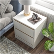 Bowery Hill Contemporary Wood 2-Drawer Nightstand in White Finish
