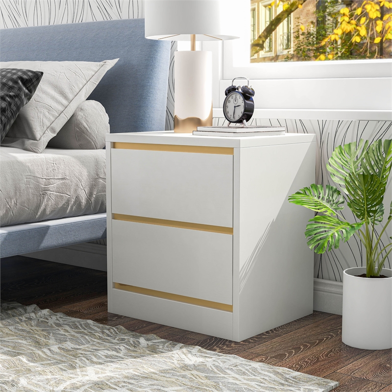Bowery Hill Contemporary Wood 2-Drawer Nightstand in White Finish