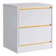 Bowery Hill Contemporary Wood 2-Drawer Nightstand in White Finish