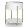 Bowery Hill Modern Wood End Table with Hidden Storage in White