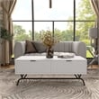 Bowery Hill Wood Storage 2-Drawer Coffee Table in White Pure