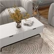 Bowery Hill Wood Storage 2-Drawer Coffee Table in White Pure