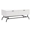 Bowery Hill Wood Storage 2-Drawer Coffee Table in White Pure