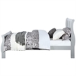 Bowery Hill Contemporary Low Profile Footboard Queen Bed in Platinum