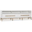 Bowery Hill Modern / Contemporary Metal Enertainment Credenza