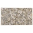 Bowery Hill Modern / Contemporary Onyx Top Coffee Table in Pewter