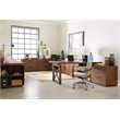 Bowery Hill Modern / Contemporary 2 Door Storage Cabinet in Medium Wood