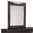 Bowery Hill Contemporary Engineered Wood Bedroom Mirror in Merlot