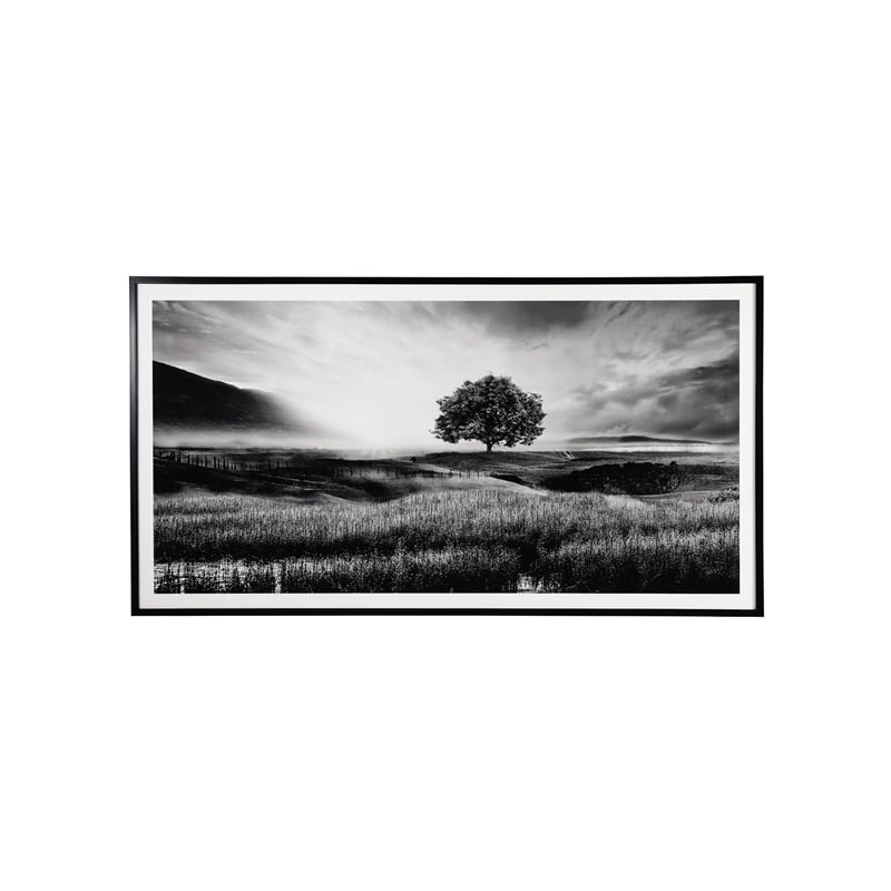 Bowery Hill Modern Acrylic Plastic Wall Art in Black and White