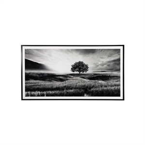 Bowery Hill Modern Acrylic Plastic Wall Art in Black and White