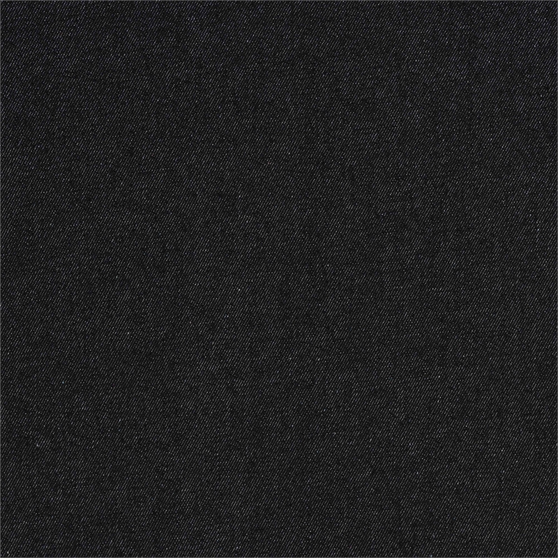 Bowery Hill Modern Vintage Black Canvas 2-Drawer End Table Trunk