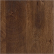 Bowery Hill Contemporary Brown & Grayish Gold Accent Cabinet
