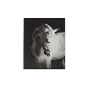 Bowery Hill Contemporary Canvas Black & White Finish Wall Art