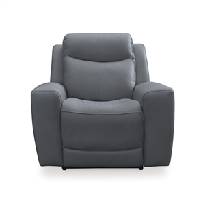 Bowery Hill Leather Contemporary Steel Finish Power Recliner