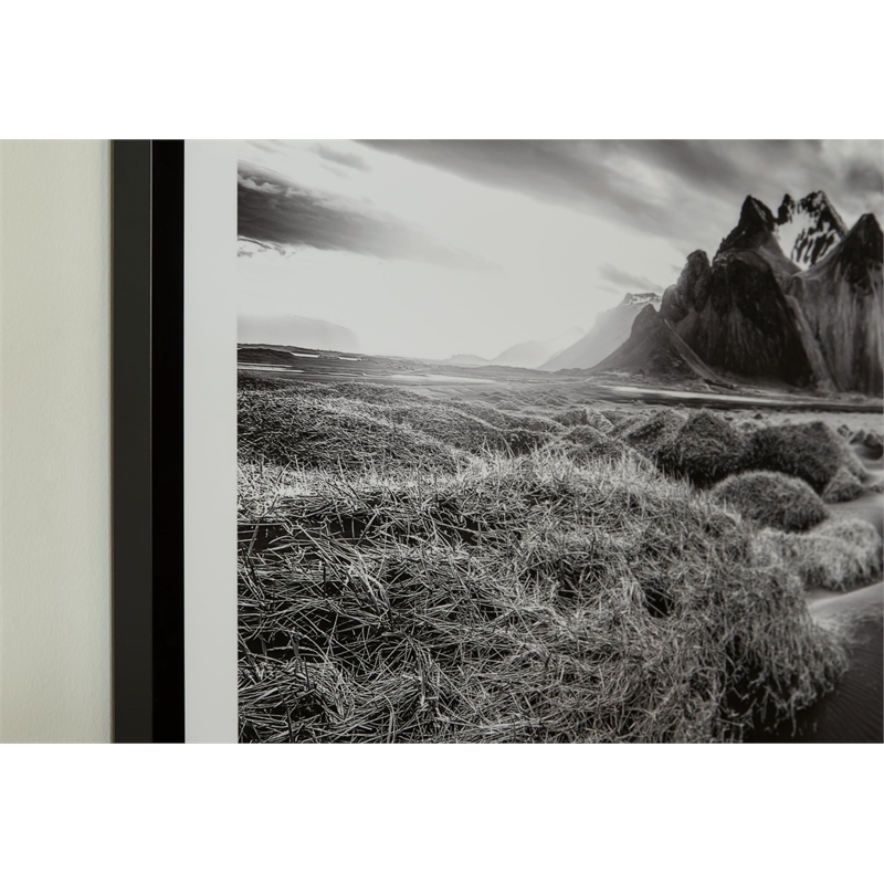 Bowery Hill Contemporary Acrylic Black & White Finish Wall Art