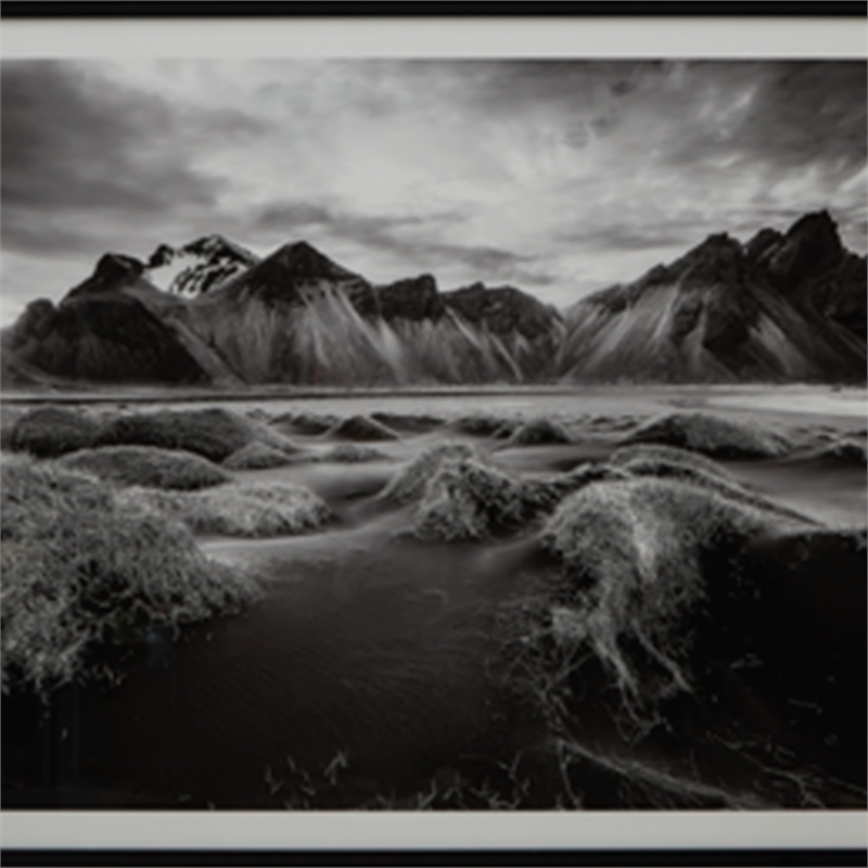 Bowery Hill Contemporary Acrylic Black & White Finish Wall Art