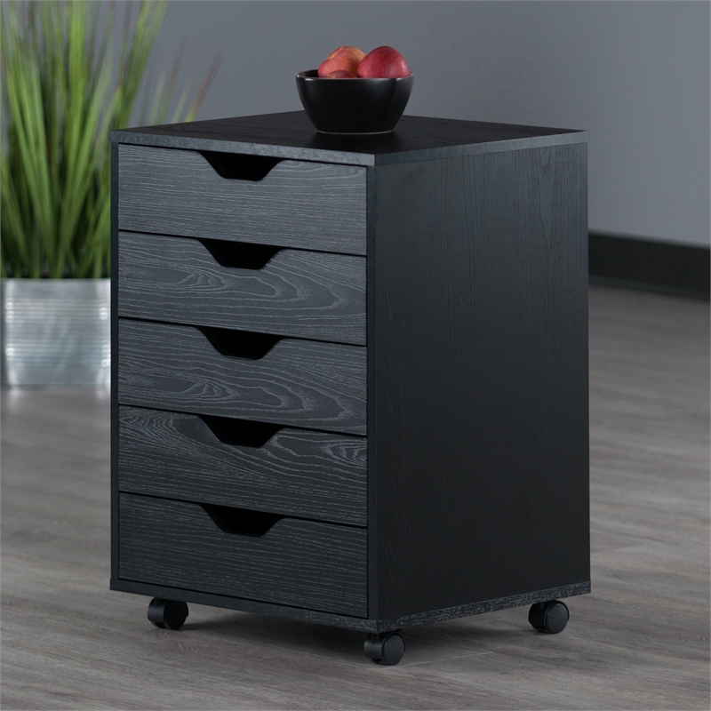Bowery Hill Transitional Wood Storage Cabinet with 5 Drawers in Black