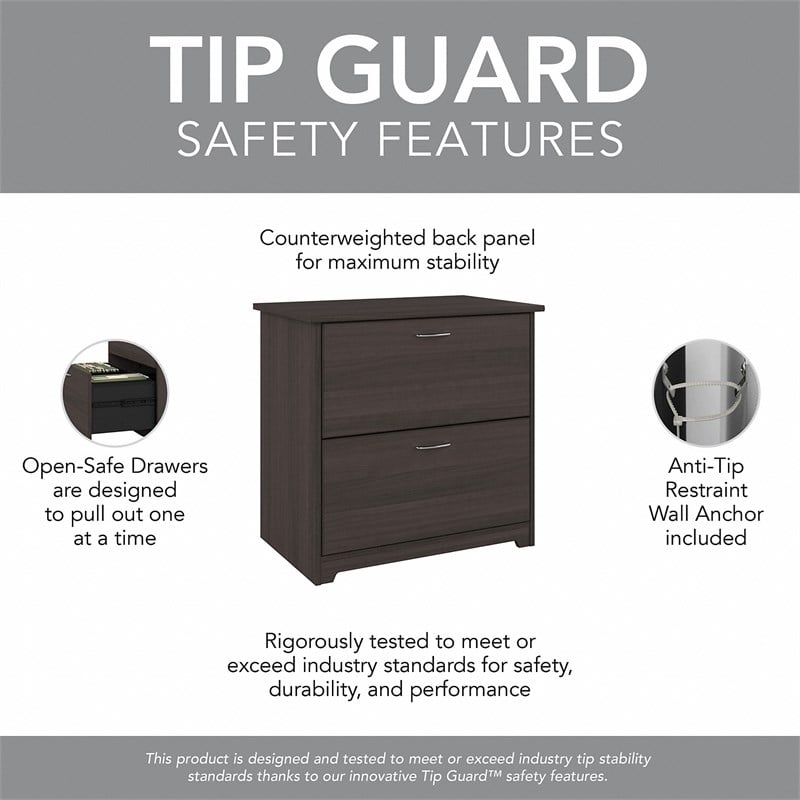 Bowery Hill 2 Drawer Lateral File Cabinet in Heather Gray - Engineered Wood