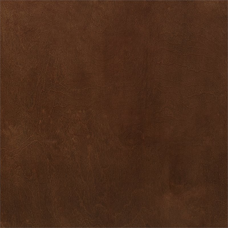 Bowery Hill Mid-Century Wood Media Console Table in Mahogany / Gold