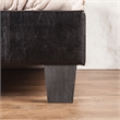 Bowery Hill Contemporary Faux Leather Queen Platform Bed in Black