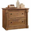 Bowery Hill Engineered Wood 2-Drawer Lateral File Cabinet in Vintage Oak